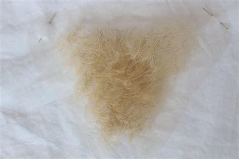 blonde pubes|Category:Female blond pubic hair .